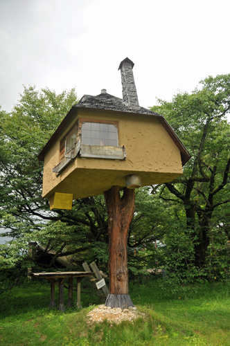 treehouse01.jpg